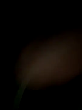 Snapshot of satrr_xxx chatting on 09.29.25 satrr xxx online show from 09.29.25