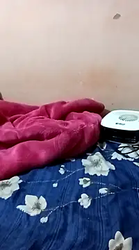 maftel online show from 12.27.24