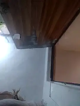 iDogrose21 online show from 12.15.25