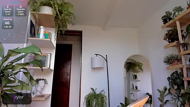 Johaphyton online show from 01.18.25