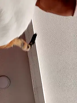 Snapshot of Skylar-Vox- chatting on 09.23.25 Skylar-Vox- online show from 09.23.25