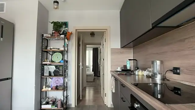 jainesummer online show from 04.22.26