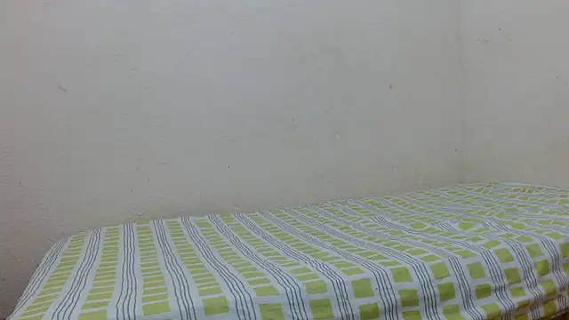 Evanhotx online show from 01.06.26