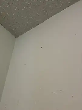 aurora divine online show from 03.16.26