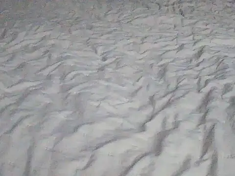 Tigerek i m online show from 01.14.26