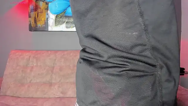 Snapshot of Lyam_ap chatting on 11.18.25 Lyam ap online show from 11.18.25