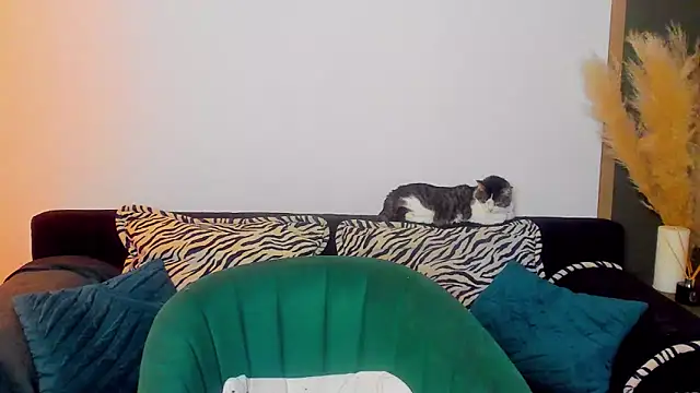 rora skyline online show from 03.05.26