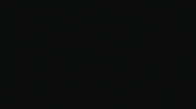 Snapshot of alansteer chatting on 12.22.24 alansteer online show from 12.22.24