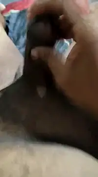 misteriosodoRj online show from 01.28.25