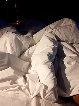 Snapshot of Premium_Dick chatting on 03.18.25 Premium Dick online show from 03.18.25