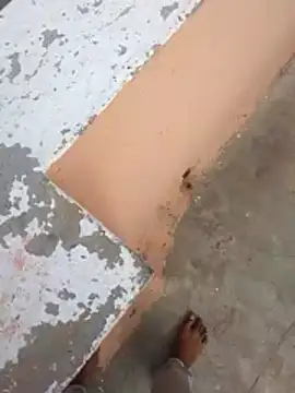 PracticalGum40 online show from 02.21.26