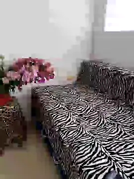 Alison fitness online show from 01.23.25