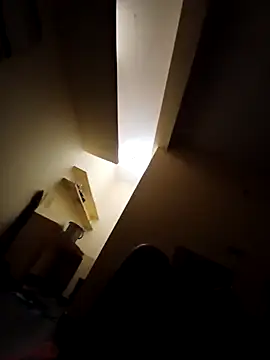 ken tanaka online show from 02.03.25