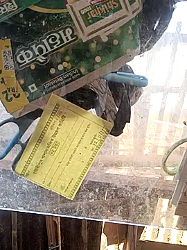 Skinny Bigass 23 online show from 11.16.25