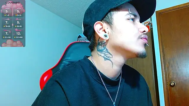 Hgp3riodictabl3 online show from 02.06.26