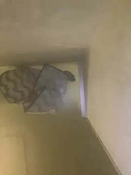 Tommy y Pamela online show from 02.17.26