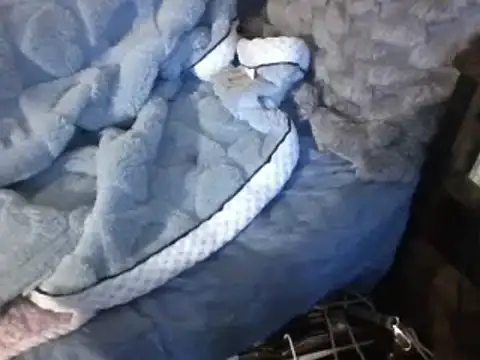 Snapshot of housewife_shantie chatting on 03.07.25 housewife shantie online show from 03.07.25