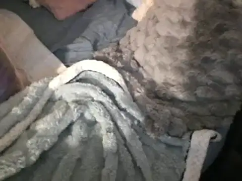 Snapshot of housewife_shantie chatting on 03.15.25 housewife shantie online show from 03.15.25