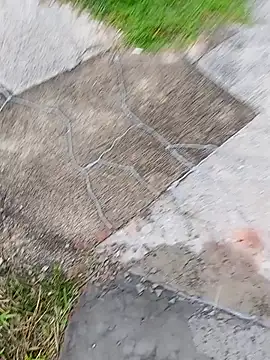 Snapshot of homenbuscalacto chatting on 01.16.26 homenbuscalacto online show from 01.16.26