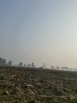 imissyoumylove14 online show from 12.10.24