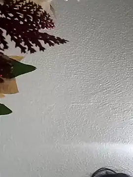 Naomy veracruz  online show from 02.11.26