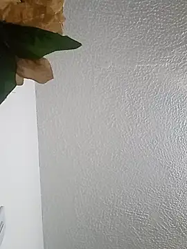 Naomy veracruz  online show from 03.08.26