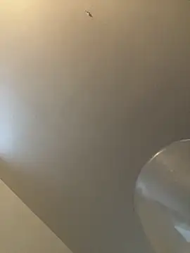 bv7L1h5i6B jNHe online show from 01.28.25