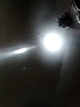 Innsaciable online show from 04.11.26