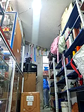 nidia2026 online show from 12.05.25