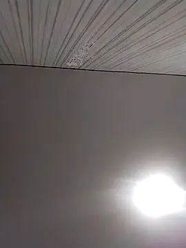 Lorrain Dorrie online show from 12.02.25