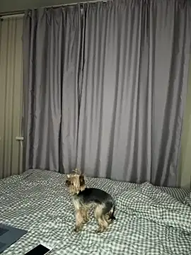 Snapshot of Cute_Barbieee_ chatting on 12.06.24 Cute Barbieee online show from 12.06.24