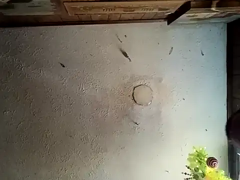 realoneNocap online show from 11.12.25