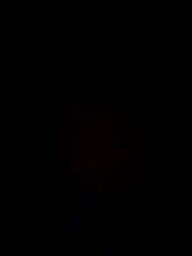 samee00721 online show from 12.25.24