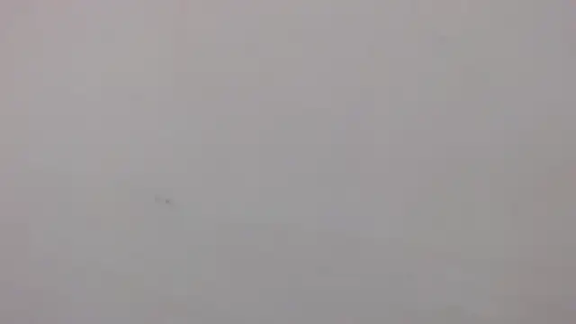 danilo302209 online show from 01.27.25