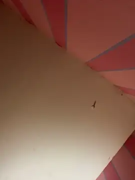 mikeJak online show from 03.23.25