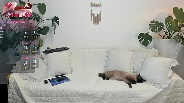 Amie Hill online show from 02.16.26