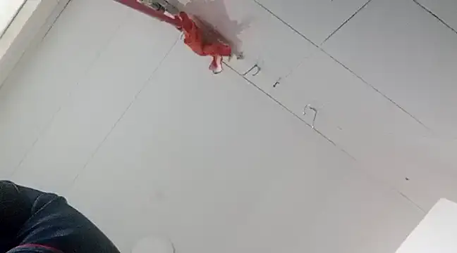 Snapshot of Darly_Gomez chatting on 01.02.25 Darly Gomez online show from 01.02.25