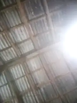 Feli230990 online show from 03.05.25