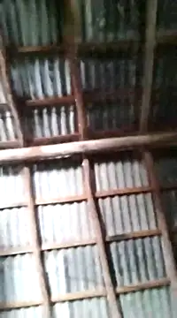 Feli230990 online show from 03.10.25