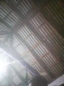 Feli230990 online show from 04.08.26