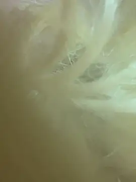 Snapshot of CherryEmmy chatting on 10.27.25 CherryEmmy online show from 10.27.25