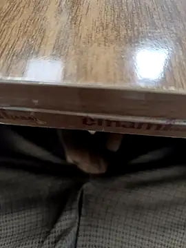 Kakabiraji online show from 03.17.26