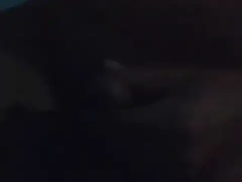 Snapshot of Penis58 chatting on 12.15.24 Penis58 online show from 12.15.24