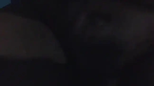 Snapshot of Penis58 chatting on 12.16.24 Penis58 online show from 12.16.24