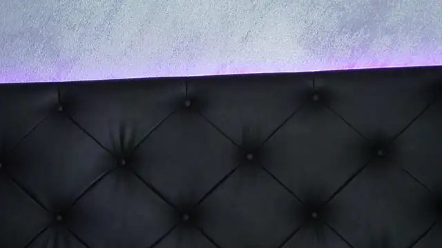 Snapshot of SkylerSpark chatting on 01.20.25 SkylerSpark online show from 01.20.25