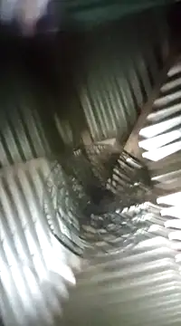 Sree-69-nude online show from 02.24.25