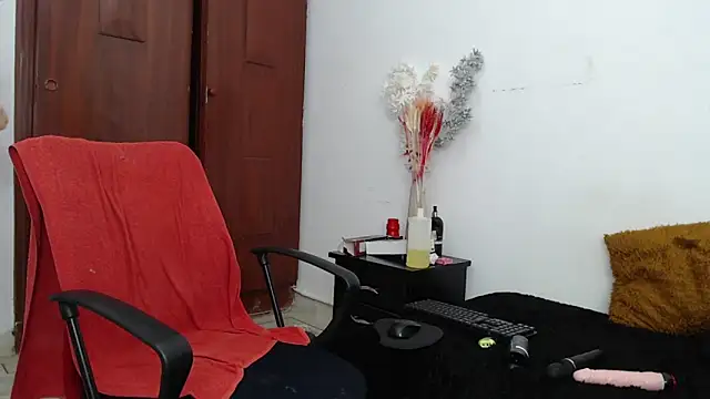 hannaashyel 12 online show from 01.04.25