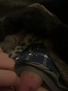 Snapshot of hamoo23p chatting on 02.22.26 hamoo23p online show from 02.22.26