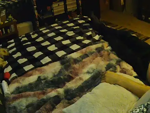 EroticKityii online show from 04.01.26