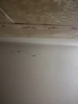 SecretlyDD online show from 01.30.25